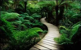 Cochez ce qui est vrai. (plusieurs réponses possibles)