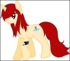 Ce poney représente...