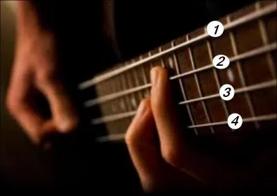 Combien de cordes y a-t-il sur une guitare folk ?