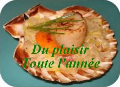 Quand peut-on pêcher la coquille Saint-Jacques ?