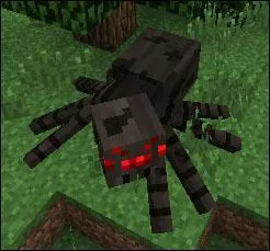 Que donne une araignée ?