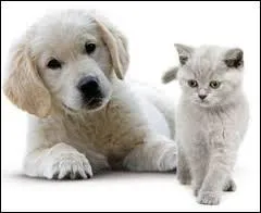 Comment s'appelle-t-il ?