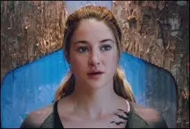 Tris est divergent, le test indiquait quelles factions ?