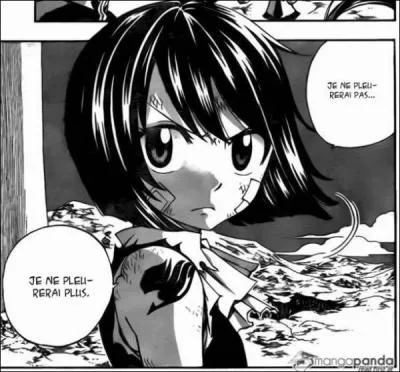 Que se passe-t-il dans les derniers chapitres ?