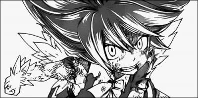 Qu' a-t-elle acquis dernièrement ?