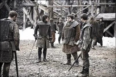 Quelle est leur couleur préférée ?