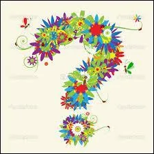 Qui sont les footballeurs de cette année ?