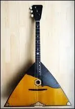 Quel est le nom de cet instrument ?