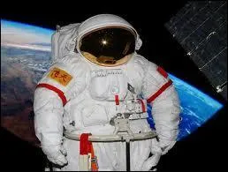 Qu'est-ce qu'un taïkonaute ?