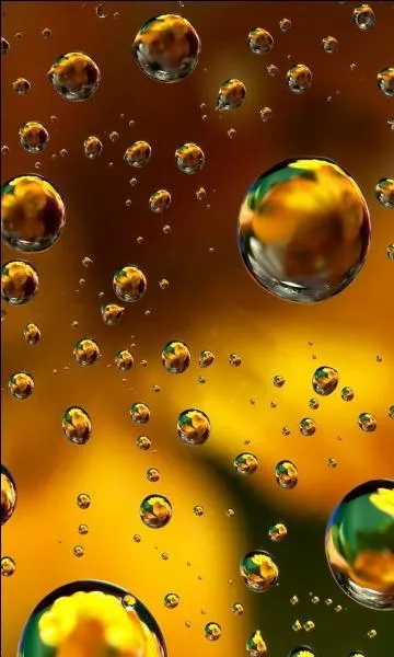 Qui fait de la moto ?