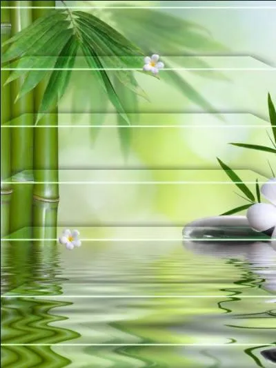 Qui a dansé avec Francesca ?