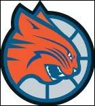 Ce logo alternatif était celui d'une franchise qui va à nouveau être remplacée en 2014 avec le retour des Hornets à Charlotte. Quel était donc l'ancien nom de la franchise représentée ici ?