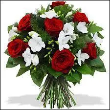 Comment appelle-t-on ce que vous voyez sur la photo ?