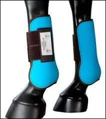 A quoi servent les guêtres ?