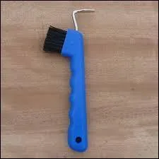 Comment s'appelle cet outil de pansage ?