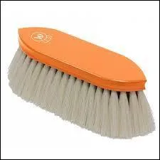 Comment s'appelle cet outil de pansage ?