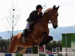 Quiz Galop 1
