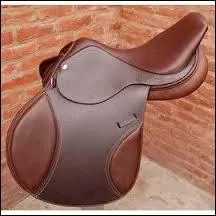 En quelle matière est cette selle ?