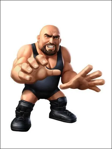 Qui est ce catcheur ?