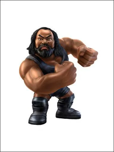 Qui est ce catcheur ?