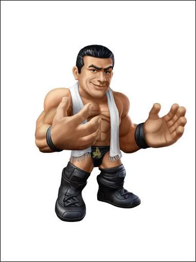 Qui est ce catcheur ?