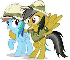 De quel poney Rainbow Dash est-elle fan ?