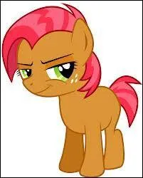 Quel poney venant de la famille Apple reconnaissez-vous ?