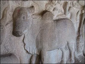 Ce bas-relief représente la Vache sacrée de Mamallapuram en ....