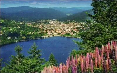 Laquelle de ces villes n'est pas située dans le Bas-Rhin ?