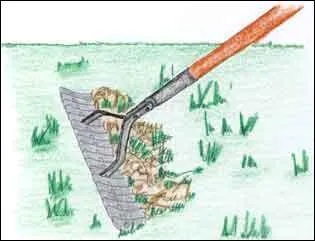 Tiens bon ------ manche du râteau, tu pourrais te faire mal.