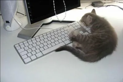 Maria était tellement épuisée qu'elle n'a pu s'empêcher de faire ------ somme.