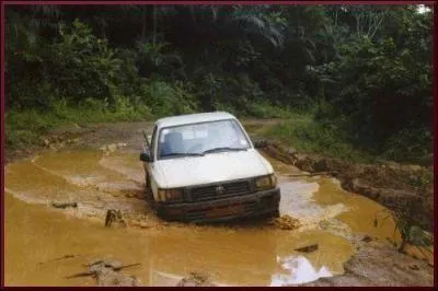 Notre véhicule s'est enfoncé dans ----- vase dense d'un sol argileux.