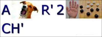 Quelle est la bonne expression ?