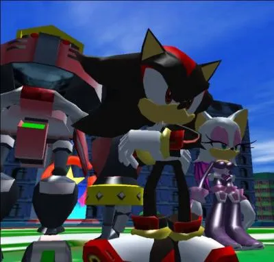 De qui est composée la team Dark ?