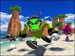 De qui est composée la team Chaotix ?