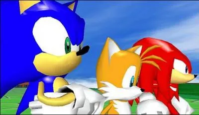 De qui est composée la team Sonic ?