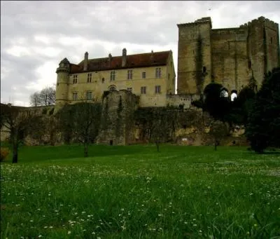 Quel est ce bourg de Dordogne, dominé par les deux donjons carrés de son château féodal, restes d'une puissante forteresse devant laquelle dit-on Richard Coeur de Lion fut blessé?