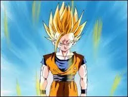 Que peut faire Sangohan ?