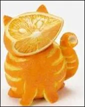 Quels sont l'animal et le fruit que vous voyez ?