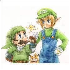 Link et Luigi ont un point qui les font se ressembler : lequel ?