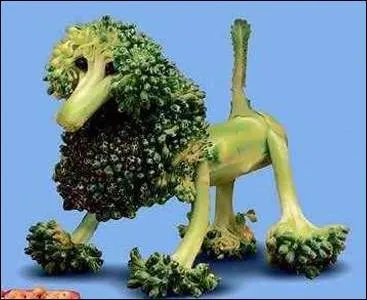 Quelle est cette race de chiens et ce légume ?  