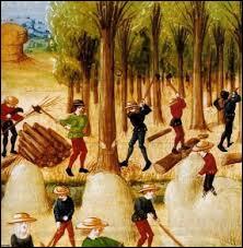 Le Moyen Âge est l'époque des grands défrichements qui ont permis d'augmenter considérablement la surface des terres cultivables. Laquelle de ces activités n'a pas de rapport avec le défrichement ?