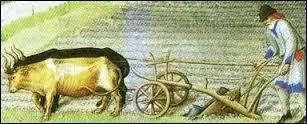 De nouveaux outils font leur apparition. Ils permettent de faciliter le travail des paysans comme la charrue avec un soc de fer qui permet de retourner profondément la terre et de l'aérer. Comment s'appelait l'ancêtre de la charrue faite de bois qui, jusque-là, ne permettait que de creuser des sillons en surface ?