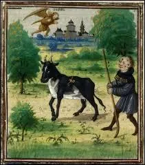 Comment appelle-t-on la mise en repos d'une terre afin de la regénérer ?