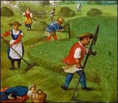 La vie misérable des paysans était dictée par le calendrier agricole et les saisons. Combien d'heures devaient-ils travailler aux champs dans une journée pour espérer survivre ?