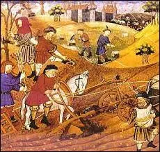 Le paysan n'était pas propriétaire de la terre qu'il cultivait. Comment s'appelait la terre agricole que le paysan louait au seigneur ?