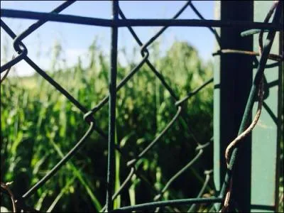 New York possède un taux de criminalité assez élevé, mais ce taux baisse de plus en plus. Pour lutter contre ce fléau , la ville a créé une prison sur une île et cette prison est devenue la deuxième plus grande des Etats-Unis.
Comment s'appelle-t-elle ?