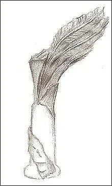 Dans quel pays europ&eacute;en le "najlepszy film" est-il r&eacute;compens&eacute; par l'un des "Orlys" ou "Aigles du cin&eacute;ma" ?