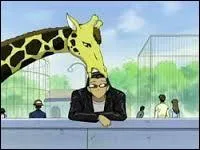 Comment s'appelle cette girafe ?