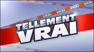 Qui présente Tellement vrai?